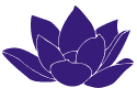Terapia antiaging